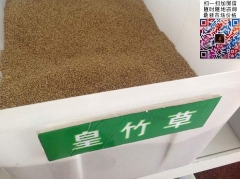 買皇竹草多少錢一斤合算？