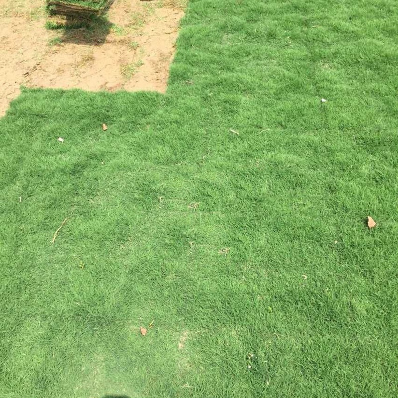 1646893987916627.jpg