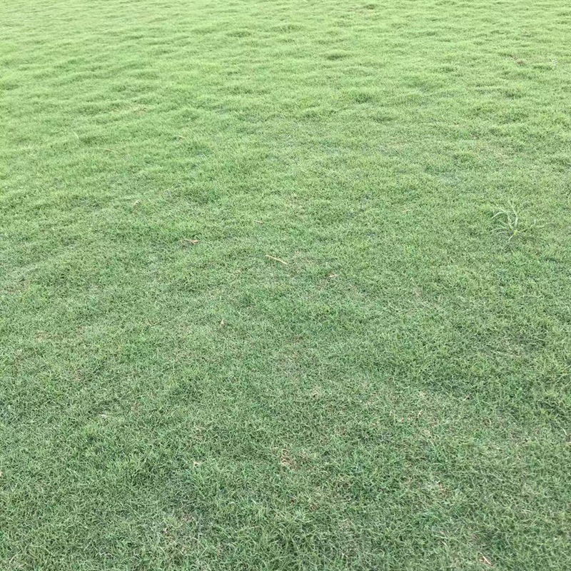 1647535505173592.jpg