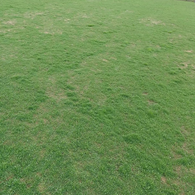 1647570802690065.jpg