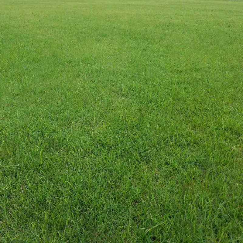 1647572576632650.jpg