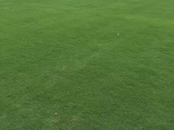 1712194858310665.jpg 1-1F501095Q44c.jpg